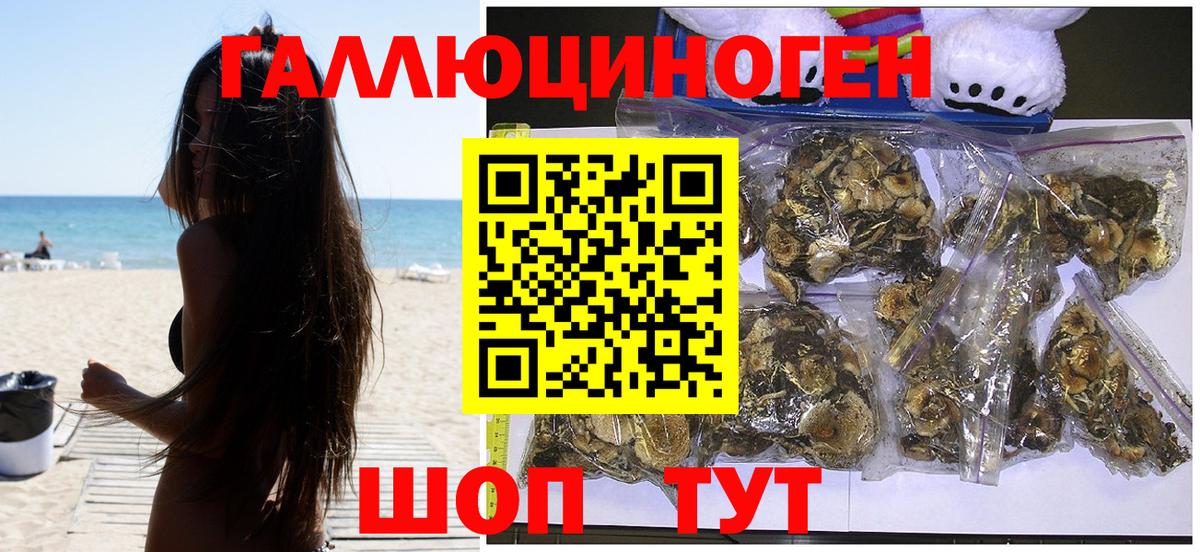 Галлюциногенные грибы прущие грибы  Галлюциногенные грибы Psilocybine cubensis  Октябрьский  купить наркотики цена  Вход с VPN 