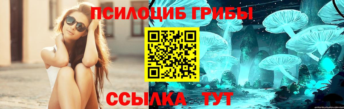 Галлюциногенные грибы ЛСД Октябрьский